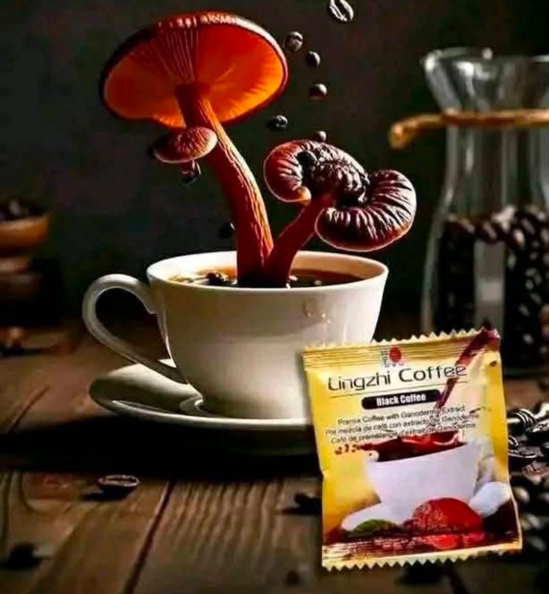 DXN Lingzhi Black Coffee - Image 3